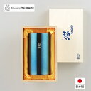 「”碧”銀古美（ぎんふるみ）」W構造ハイボールタンブラー380ml（代引き不可商品）