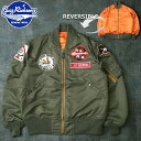 BUZZ RICKSON'S バズリクソンズ #BR15564 L-2B フライトジャケット Hタイプ『67th TAC.FTR.SQ.“WILD WEASEL IV”』 L2B メンズ 男性 アウター ブルゾン ジャンパー カジュアル アメカジ 春 秋 冬 リバーシブル ワッペン パッチ