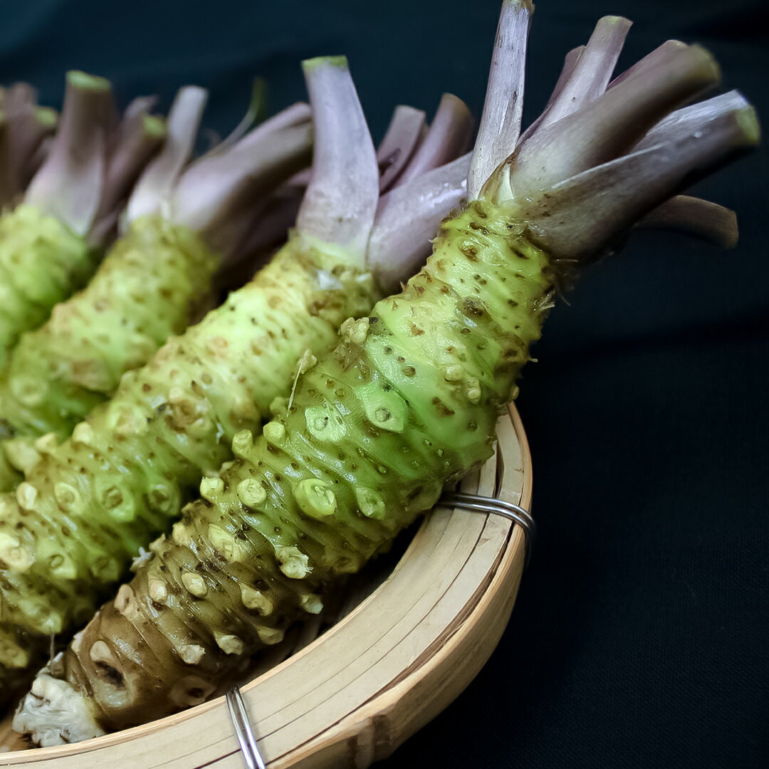 【ふるさと納税】伊豆のわさびセットE わさび セット おろし板 wasabi 生わさび 世界農業遺産 山葵 ギフト 通販