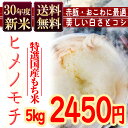 もち米 送料無料 30年産新米 ヒメノモチ 5kg ひめのも...