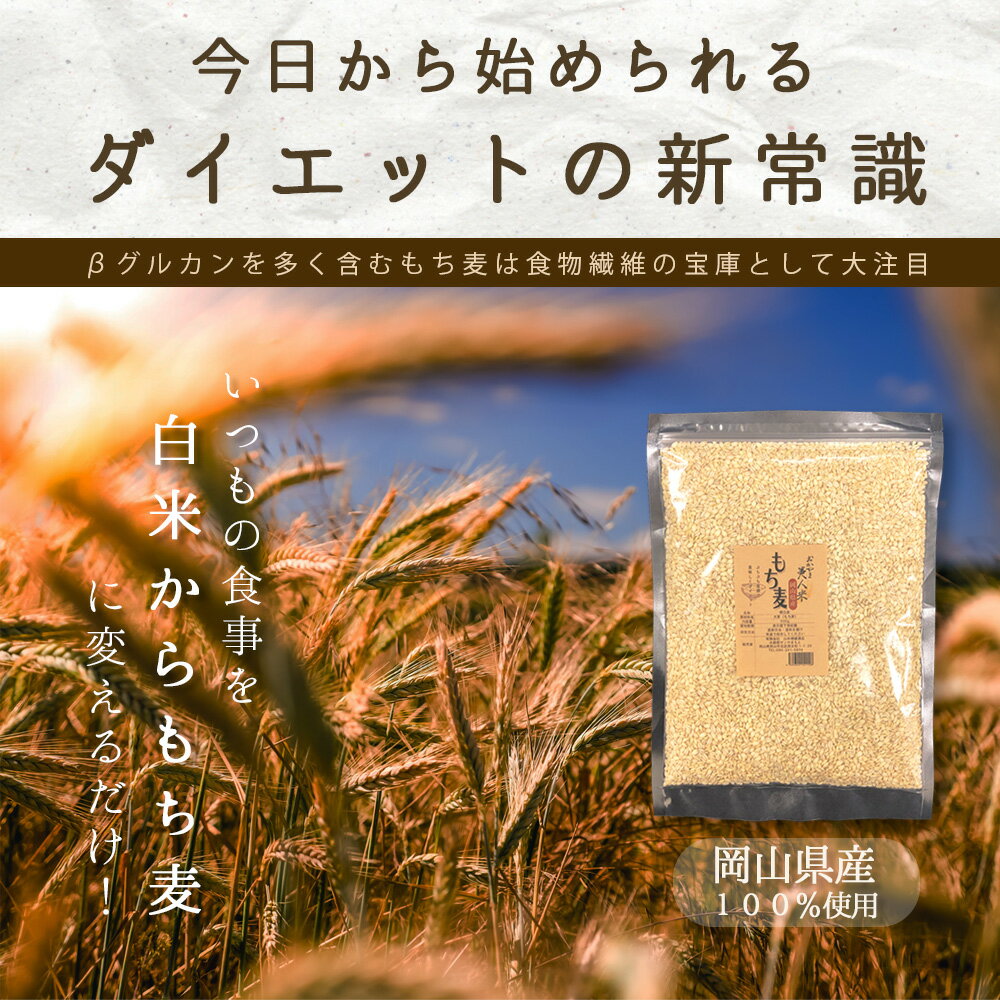 もち麦 令和5年 新麦 岡山県産キラリモチ麦 ...の紹介画像2