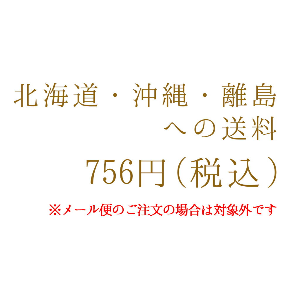 北海道・沖縄・離島への追加送料（メール便商品への追加は不要です）