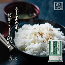 令和元年 新米 岡山県阿新産こしひかり お米 送料無料 5kg 5kg×1袋 安い コシヒカリ 5キロ 一等米 北海道沖縄離島は追加送料