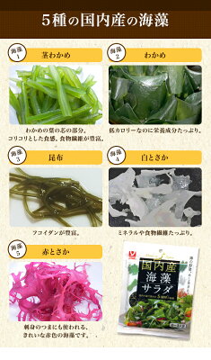 国内の海で採れた5種類の海藻 国内産海藻サラダ 最安値の茎わかめや特売商品を集めたサイト 国内の海で採れた5種類の海藻 国内産海藻サラダ 最安値の茎わかめや特売商品を集めたサイト