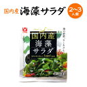 【国内の海で採れた5種類の海藻】国内産海藻サラダ【4902378032514】