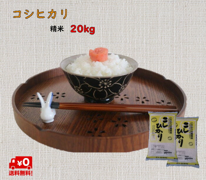 3年千葉県産コシヒカリ　20kg　送料無料　コメ　精米　白米　コシヒカリ...