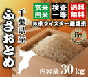 30年千葉ふさおとめ玄米30kg【精米無料 】【送料無料※一...