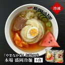 やまなか家 伝統の味本場盛岡冷麺6食 冷凍お中元 贈り物 ギフト 御中元 お歳暮 御歳暮 プレゼント 祝い お祝い 御祝 贈答 冷麺 冷めん 年末グルメ 年越グルメ 麺 岩手