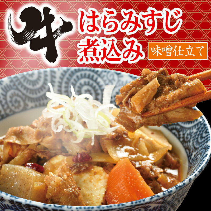 ★大感謝祭セール中★ 牛はらみすじ煮込み 5パック入り(k12-019)