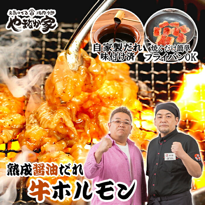 やまなか家 焼き肉 コク旨牛ホルモン 熟成醤油だれ 2kg 焼肉 ホルモン 牛 年末グルメ 年越グルメ