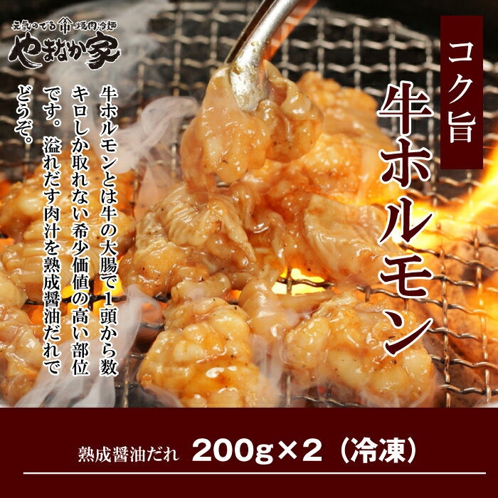 豪華お祝い焼肉セット3.4kg