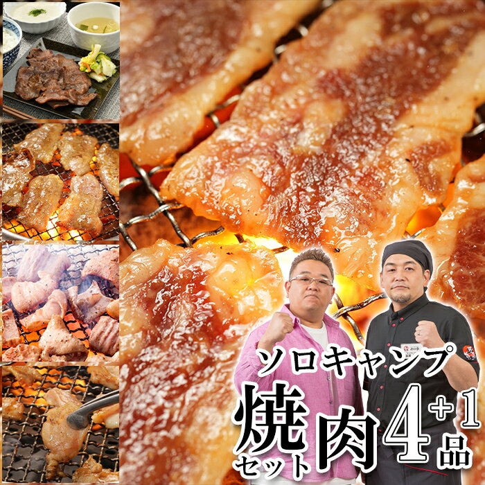 ソロキャンプ焼肉セット 計800g 全4種+1品 おまけ付 牛たん 元氣カルビ 鶏カルビ 豚ホルモン BBQ バー..