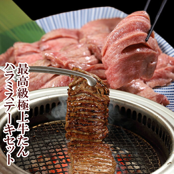 やまなか家 焼き肉 最高級 極上 牛たん 500g ハラミステーキ 1kg 厚切り たん元 スライス 切り目入り やわらか 冷凍 高級 肉プレゼント 宮城 仙台 お土産 おすすめ 1キロ 味付き 焼肉 焼き肉 ステーキ 送料無料 年末グルメ 年越グルメ