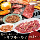 トリプルハラミ食べ比べセット 牛ハラミ 豚ハラミ 鶏ハラミ醤油 やまなか家