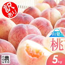 桃 もも 訳あり【6月16日から発送:山梨県 笛吹市】品種お任せ 訳あり 桃 5kg以上 送料無料 フルーツ 果物 momo スイーツ 販売 品種 お取り寄せ 産地直送 白桃 山梨県産 あかつき 白鳳 まどか ワッサー
