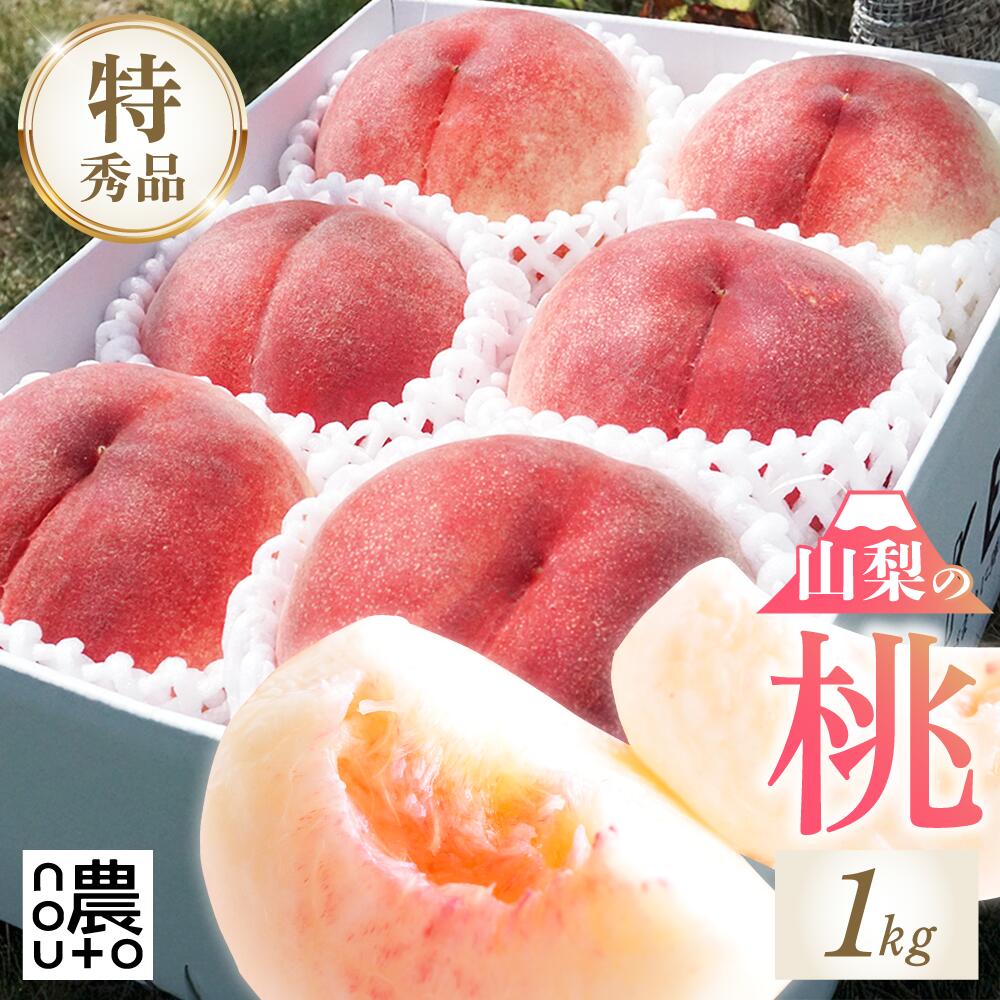 桃 もも 【山梨の旬:6月23日から発送】山梨県 秀品桃 1kg以上 ギフト もも フルーツ 果物 momo 送料無料 山梨産 笛吹市 贈答 プレゼント お中元 販売 品種 硬い お取り寄せ 産地直送 品種お任せ 白桃 山梨県産 あかつき 白鳳 まどか ワッサー