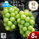 シャインマスカット 山梨 お中元 【8房 4kg 前後】 山梨県 笛吹市 糖度 ギフト 旬 夏 敬老の日 贈答用 プレゼント 4キロ 種なし 名産 お土産 フル...