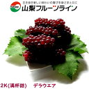 デラウエア 約2kg(満杯詰) 化粧箱入 生産者 農業生産法人(有)山梨フルーツライン産直部会 お中元 御中元 ぶどう ブドウ 葡萄 ギフト 贈り物 プレゼント...