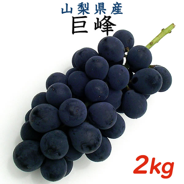 敬老の日 ギフト プレゼント 巨峰 2kg箱 秀品 満杯詰 山梨県産 産地直送 ぶどう 送料無料一部地域を除くのサムネイル