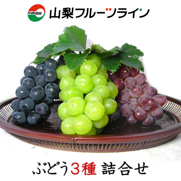 山梨県産ぶどうおまかせ3種類詰め合わせ 1.5K(満杯詰) 送料無料※一部地域は除く敬老の日 プレゼント ギフト 贈り物 ブドウ 葡萄 (赤)サニードルチェ/ロザリオロッソ/甲斐路/マニキュアフィンガーなど (黒)巨峰/ピオーネなど (緑)ロザリオビアンコ/シャインマスカットなどのサムネイル