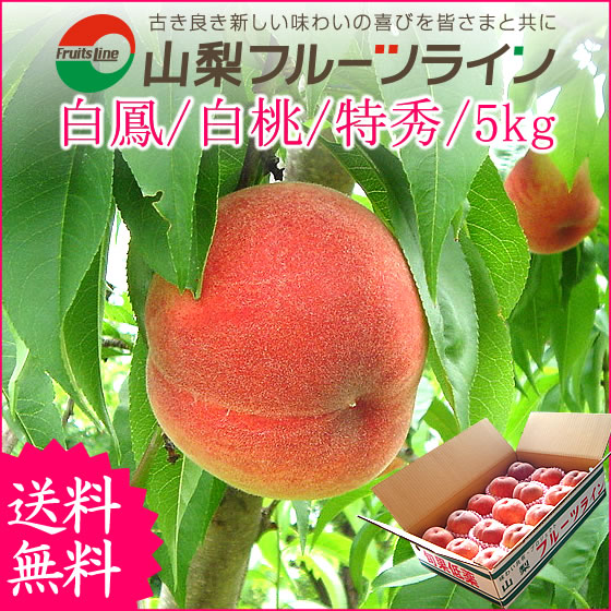 父の日 お中元 桃 山梨県産 白鳳 白桃 甲斐黄金桃 特秀 お中元 夏ギフト 送料無料※...