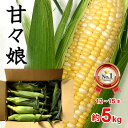 父の日 とうもろこし かんかんむすめ トウモロコシ 甘々娘 山梨県産 L〜2L 12〜15本入 約5kg 送料無料 ※一部地域を除く