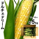 父の日 とうもろこし 甘い ドルチェドリーム トウモロコシ スイートコーン 山梨県産 L〜2L 送料無料 ※一部地域を除く