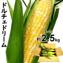 父の日 とうもろこし ドルチェドリーム 山梨県産 L〜2L 送料無料 ※一部地域を除く