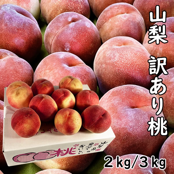 ■訳あり黄金桃、始めました。 山梨通販は、ギフト用の桃をメインに発送しておりましたが、この度、一部のお客様からのご要望により、桃農家が普段、食べているご家庭用の桃をリーズナブルな価格で出荷いたします。傷や打ち身など見た目がよくないのもありますが、味になんら問題はありませんので、ぜひ、フルーツ王国山梨の桃を味わって頂ければと思います。暑い夏に、冷やした桃は格別です。ご注文をお待ちしております。 ■訳あり桃とは 桃に傷があったり、色がつかなかったり、変形した桃が入りますが、味には問題はございません。また、品種のご指定はご遠慮いただいております。お届け予定もお任せでお願い致します。 ■ご注意 こちらの商品は、ご自宅用です。こちらはギフトには向きませんので予めご了承下さい。お届け先とご注文者様が違う場合は誠に勝手ながらキャンセルをさせて頂きます。また、訳あり商品のため、交換・返金の対象にはなりませんので予めご了承下さい。 ■商品詳細 名称 黄金桃 産地 山梨市/甲州市/笛吹市 栽培方法 露地栽培(減農薬/草生栽培) 品質 優 内容量 約2kg 6～7個入り、約3Kg 7～9個入、 ■桃について 訳あり桃のため、傷、当たり（黒ずむ）、変形、大小の大きさなどが入りますので、予めご了承の上、ご注文ください。
