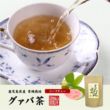 【国産 100%】グァバ茶 3g×16パック×2袋セット ティーパック ノンカフェイン 鹿児島県産 無農薬 送料無料 グアバ茶 健康茶 妊婦 ダイエット ティーバッグ サプリ 苗 セット ギフト プレゼント お歳暮 御歳暮 プチギフト お茶 2020 内祝い お返し