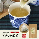 国産100% 無農薬 栃木県産 イチジク葉茶 1.5g×15パック ティーパック ティーバッグいちじく無花果 送料無料 健康茶 妊婦 ダイエット セット ギフト プレゼント 母の日 父の日 プチギフト お茶 2024 内祝い お返し 2