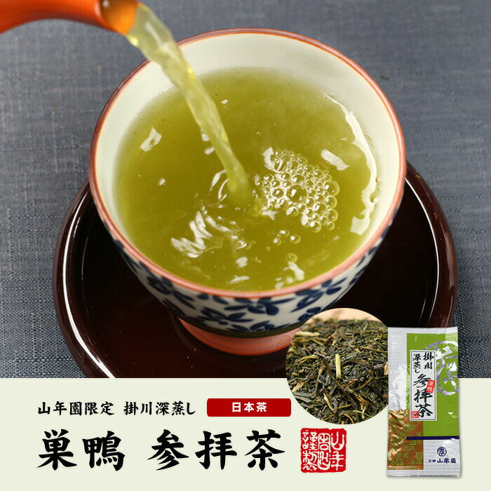 日本茶 お茶 茶葉 巣鴨参拝茶100g×12袋...の紹介画像2