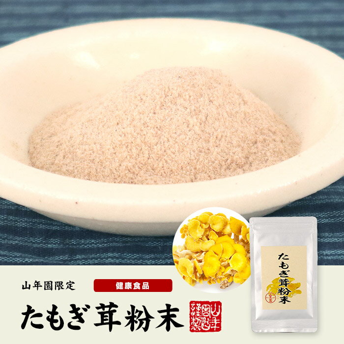 たいまつ食品　米粉　揚げ物用ミックス　300g×10袋