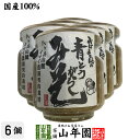【国産】おばあちゃんの青とうがらし味噌 100g×6個セット送料無料 ごはんのお供 ご飯に乗せて お湯をさして味噌汁 みそ汁 冷ややっこ 鍋物の薬味 麺つゆ お...