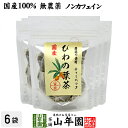 【国産100%】びわ茶 びわの葉茶 ティーパック 1.5g×20パック×6袋セット 宮崎産　鹿児島県産 無農薬 ノンカフェイン 送料無料 ティーバッグ 枇杷茶 枇杷の葉 国産 ビワ ビワの葉 高級 ギフト プレゼント バレンタイン プチギフト お茶 2024 内祝い お返し