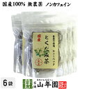 【国産100%】どくだみ茶 ティーパック 無農薬 1.5g×20パック×6袋セット ノンカフェイン 宮崎県産 送料無料 どくだみ化粧水 ドクダミ お茶 健康茶 どくだみ茶 ドクダミ茶 妊婦 ダイエット セット ギフト プレゼント 母の日 父の日 プチギフト 2024 内祝い 1