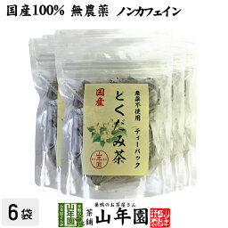 【国産100%】どくだみ茶 ティーパック 無農薬 1.5g×20パック×6袋セット ノンカフェイン 宮崎県産 送料無料 どくだみ化粧水 ドクダミ お茶 健康茶 どくだみ茶 ドクダミ茶 妊婦 ダイエット セット ギフト プレゼント 母の日 父の日 プチギフト 2024 内祝い