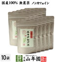 【国産 100%】エキナセア茶 2g×10パック×10袋セット ノンカフェイン 鳥取県または熊本県産 無農薬 送料無料 ハーブティー エキナセア お茶 エキナセ...