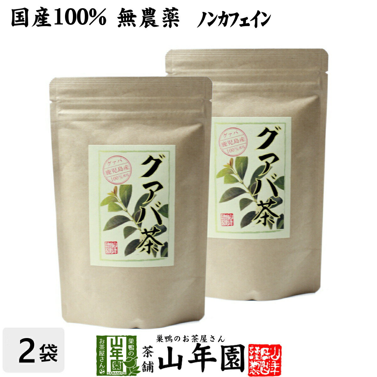 【国産 100%】グァバ茶 3g×16パック×2袋セット ティーパック ノンカフェイン 鹿児島県産 無農薬 送料無料 グアバ茶 健康茶 妊婦 ダイエット ティーバッグ サプリ 苗 セット ギフト プレゼント お中元 敬老の日 プチギフト お茶 2022 内祝い お返し