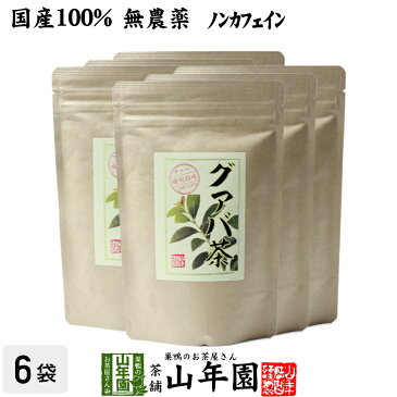 【国産 100%】グァバ茶 3g×16パック×6袋セット ティーパック ノンカフェイン 鹿児島県産 無農薬 送料無料 グアバ茶 健康茶 妊婦 ダイエット ティーバッグ サプリ 苗 セット ギフト プレゼント お歳暮 御歳暮 プチギフト お茶 2020 内祝い お返し