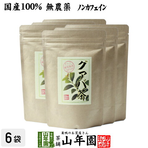 【国産 100%】グァバ茶 3g×16パック×6袋セット ティーパック ノンカフェイン 鹿児島県産 無農薬 送料無料 グアバ茶 健康茶 妊婦 ダイエット ティーバッグ サプリ 苗 セット ギフト プレゼント 母の日 父の日 プチギフト お茶 2020 内祝い お返し