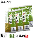 【高級】日本茶 お茶 煎茶 茶葉 玉翠 100g×6袋セット 送料無料 煎茶 国産 緑茶 ギフト 母の日 父の日 プチギフト お茶 2024 内祝い お返し プレゼント 還暦祝い 男性 女性 父 母 贈り物 香典返し お土産 おみやげ お祝い 誕生日 祖父 祖母 お礼 夫婦