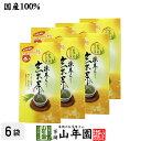 玄米茶 ティーバッグ 国産 5g×20パック×6袋セット 三角ティーパック 茶葉 お茶 緑茶 ギフト お中元 御中元 プチギフト お茶 2025 内祝い プレゼ...