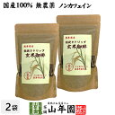 【国産 無農薬 100%】玄米珈琲 200g×2袋セット ノンカフェイン 熊本県産 送料無料 玄米コーヒー ドリップコーヒー 母乳 赤ちゃん レギュラーコーヒー 玄米茶 アイスコーヒー 粉末 パウダー 妊婦 ギフト プレゼント 母の日 父の日 プチギフト お茶 2023