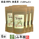 【国産 無農薬 100%】玄米珈琲 200g×6袋セット ノンカフェイン 熊本県産 送料無料 玄米コーヒー ドリップコーヒー 母乳 赤ちゃん レギュラーコーヒー 玄米茶 アイスコーヒー 粉末 パウダー 妊婦 ギフト プレゼント 母の日 父の日 プチギフト お茶 2024