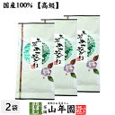 【高級】日本茶 お茶 煎茶 茶葉 玉翠あさみどり 100g×3袋セット 送料無料 煎茶 国産 緑茶 ギフト お中元 敬老の日 プチギフト お茶 2025 内祝い お返し プレゼント 還暦祝い 男性 女性 母 贈り物 香典返し お土産 おみやげ お祝い 誕生日 祖父 祖母 お礼 夫婦