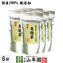 【国産 100%】烏龍茶 ウーロン茶 100g×6袋セット 無添加 送料無料 静岡県産 やぶきた品種 国産 ダイエット 日本茶 茶葉 ギフト プレゼント お中元...