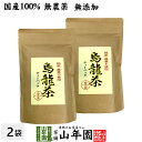【国産 無添加 100%】烏龍茶 ウーロン茶 ティーパック 2.5g×24パック×2袋セット 無添加 送料無料 大分県産 ティーバッグ 国産 ダイエット 日本茶...
