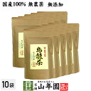 【国産 無添加 100%】烏龍茶 ウーロン茶 ティーパック 2.5g×24パック×10袋セット 無添加 送料無料 大分県産 ティーバッグ 国産 ダイエット 日本...