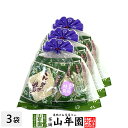 生姜湯 しょうが湯 特製生姜湯 20g×4袋×3個セット 送料無料 美味しい生姜湯 ショウガ湯 しょうが湯 粉末 お中元 敬老の日 2025 プチギフト お茶 ...